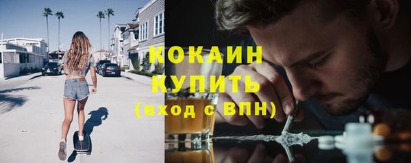 мяу мяу мука Абаза
