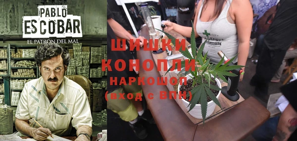 бошки Абинск