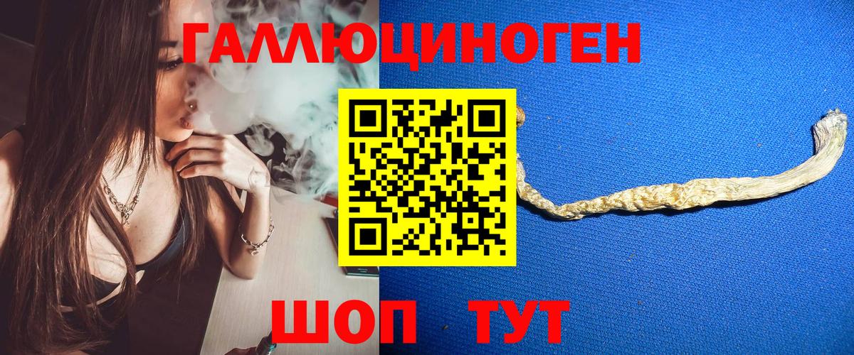 Алатырь  Псилоцибиновые грибы Cubensis  Вход с VPN 