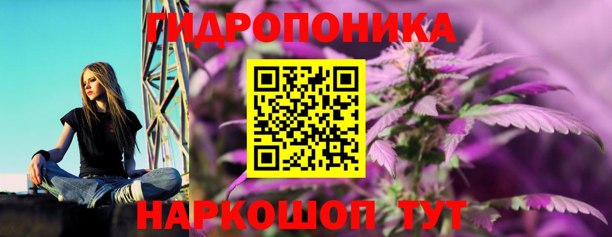 Канабис план  Вход с VPN  Каннабис OG Kush  Каннабис ГИДРОПОН  Алатырь 
